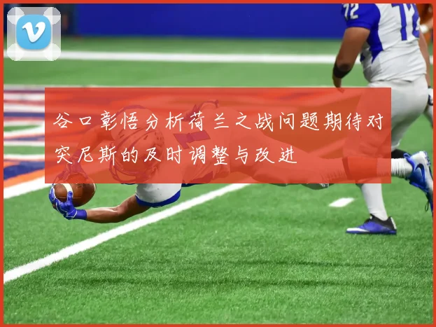 谷口彰悟分析荷兰之战问题期待对突尼斯的及时调整与改进